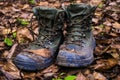 hiking boots stuck in thick mud, surrounded by leaves Royalty Free Stock Photo