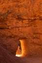 Scene at Bryce canyon national park in winter Royalty Free Stock Photo