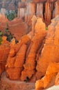 Hiking in Bryce Canyon, Utah Royalty Free Stock Photo