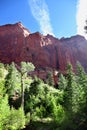 Hiking through the canyon at Taylor Creek in Zion National Park Royalty Free Stock Photo