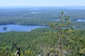 Hiking in clean nature in Kuusamo, Finland Royalty Free Stock Photo