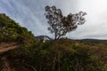 Hiking and climbing up to Mount Kinabalu. The trail to the peak of the mountain Royalty Free Stock Photo