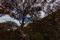Hiking and climbing up to Mount Kinabalu. The trail to the peak of the mountain Royalty Free Stock Photo