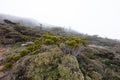 Hiking and climbing up to Mount Kinabalu. The trail to the peak of the mountain Royalty Free Stock Photo