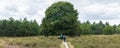 Hikers on heathlands in The Netherlands Royalty Free Stock Photo