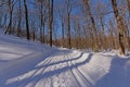 Hiking and cross country skiing trail through a sunny winter forest with snow Royalty Free Stock Photo