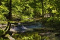 Hiking in Cuyahoga Valley National Park in Ohio, USA