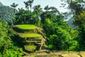 Ciudad Perdida The Lost City Royalty Free Stock Photo