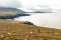 Hiking on the Dingle peninsula coastline