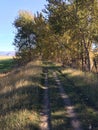 Hiking down the kamloops airport trail