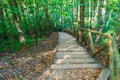 Hiking Down Wooden Stairs on a Woodland Trail in Forest. Deep Forest Hiking Trail Royalty Free Stock Photo