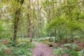 Hiking the Dutch Drenthe trail