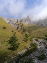 Hiking on the E5- allgauer alps south germany