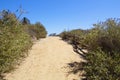 Lonely hiking dirt road surrounded by vegetation and a wooden fence post