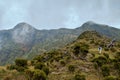 Hiking Elephant Hill, Aberdare Ranges, Kenya Royalty Free Stock Photo