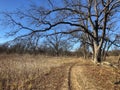 Hiking and equestrian nature trails in Texas winter