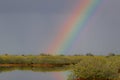 Rainbow over Central Florida Wetlands Post Storm Skies Royalty Free Stock Photo