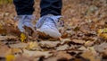 Hiking through the fallen leaves Royalty Free Stock Photo