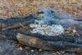 Hiking fire place bbq in forest with small fire and ash Royalty Free Stock Photo