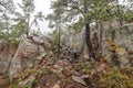 hiking footpath in forest between trees in Skuleskogen National Park in Sweden in northern Europe Hoga Kusten