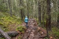 hiking footpath in forest between trees in Skuleskogen National Park in Sweden in northern Europe Hoga Kusten