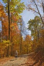 Hiking into a Forest in the Fall