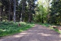 Hiking on a forest path in the Vulkaneifel, Germany