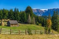 Hiking in Fundata area, in Romania, in October Royalty Free Stock Photo