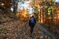 Hiking girl walking in path in colorful autumn forest at Cutkovska valley, Slovakia