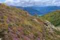 Hiking in Goldeck Austria; valley views; panorama