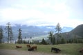 Hiking in Goldeck Austria; valley views; panorama