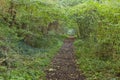 Hiking the GR5 trail in the Benelux Royalty Free Stock Photo