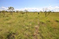 Hiking Gran Sabana, Venezuela Royalty Free Stock Photo