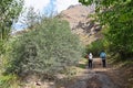 Hiking in a green valley located in Alborz mountains , Iran