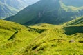 Hiking through green valley of Svaneti mountains, Mestia, Georgia, Asia