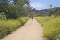 Hiking Griffith Park