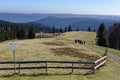 Hiking group in rolling hills landscape of Black Forest Royalty Free Stock Photo