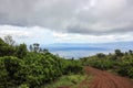 Hiking group, exploring green landscapes, Azores, Pico island