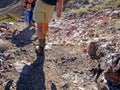 Hiking on a hard, rocky trail in the desert Royalty Free Stock Photo