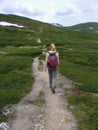 Hiking at Hardangervidda in Norway Royalty Free Stock Photo