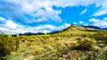 Hiking on the hiking trails surrounded by Saguaro, Cholla and other Cacti in the semi desert landscape of the McDowell Mountains Royalty Free Stock Photo