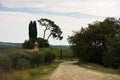 Hiking hills, backroads and vineyards at autumn, near Siena in Tuscany Royalty Free Stock Photo