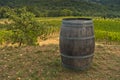 Hiking hills, backroads and vineyards at autumn, near Siena in Tuscany Royalty Free Stock Photo