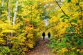 Hiking Hungarian Falls Trail