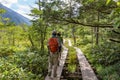 Hiking in Japanese mountains