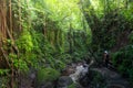 Hiking in the Jungle: an attractive young European tourist girl crossing a bamboo pedestrian suspension bridge over a Royalty Free Stock Photo