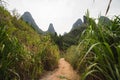 Hiking in the Karst mountains in Guilin region of South China, close to Xingping village, Li River Royalty Free Stock Photo