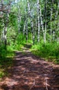 Hiking the kinosao lake on a bright sunny day in riding mountain national park, manitoba Royalty Free Stock Photo