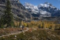 Hiking Lake O\'Hara in autumn, Yoho National Park, Canadian Rockies