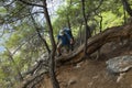 Hiking on Lycian way. Man with backpack climbs over large trunk of fallen old tree in coniferous forest on Lycian Way Royalty Free Stock Photo